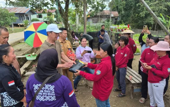Pendampingan KWT Pascabanjir, Dinas Ketahanan Pangan Salurkan Bibit