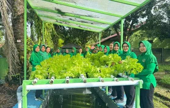 Panen Sayuran, Wujud Nyata Persit Yonif 614 Dukung Ketahanan Pangan