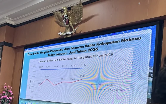 Setengah Sasaran Balita di Malinau Absen Penimbangan Posyandu