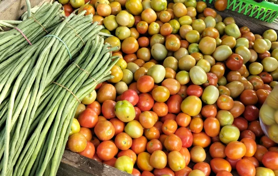 Tomat Melimpah, Harga di Pasar Induk Malinau Turun hingga Rp10 Ribu