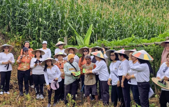 DWP Malinau Gelar Panen Sayur Bersama dan Bagikan Bibit kepada Petani