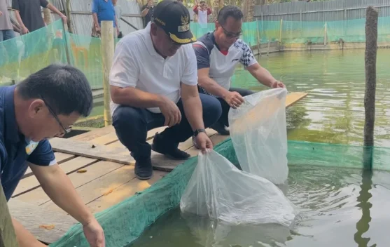 Pemkab Malinau Salurkan Bantuan 159 Ribu Benih Ikan
