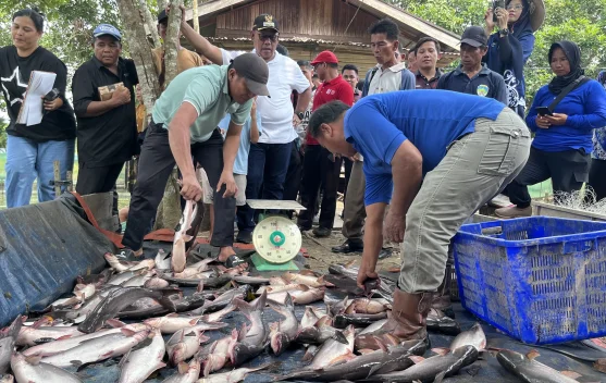 Dorong Pembudidaya Ikan Mandiri, Targetkan Pergeseran Pola Bantuan