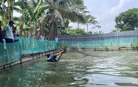Dua Kecamatan Topang Kebutuhan Perikanan Darat Malinau