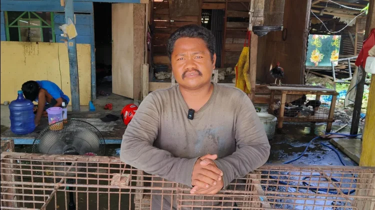 H-1 Ramadhan, Harga Ayam Potong di Pasar Masih Normal
