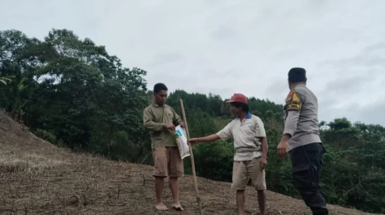 Dukung Ketahanan Pangan, Polisi Dampingi Penanaman Jagung di Mamasa