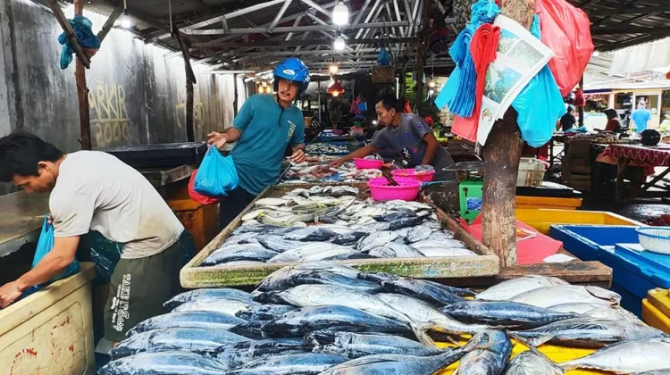 Harga Ikan Naik, Sulbar Godok Kapal Tangkap Modern