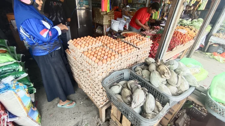 Harga Telur Naik, Dipicu Tingginya Permintaan MBG