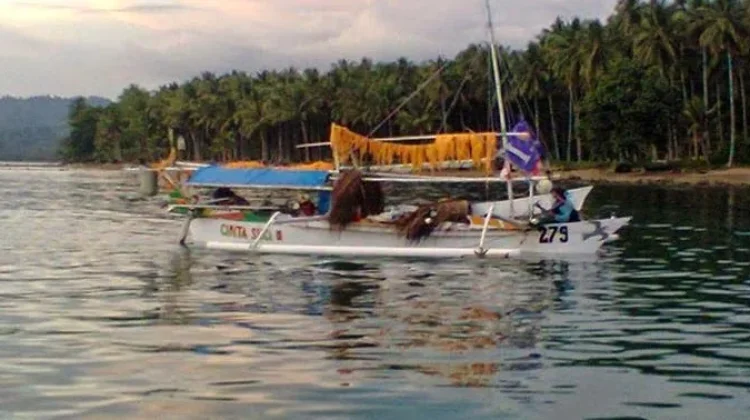 Populasi Ikan Terbang Mandar Terus Menyusut