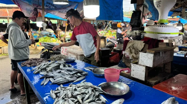 Stok Ikan di Kabupaten Mamuju Minim, Picu Kenaikan Harga