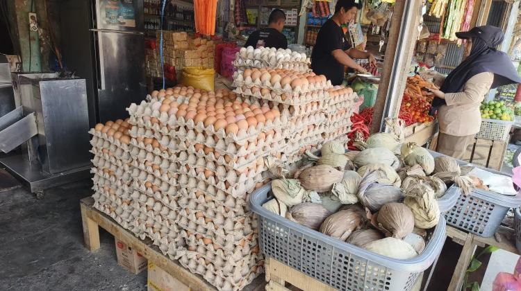 Permintaan Meningkat, Harga Telur di Pasar Baru Mamuju Terus Naik