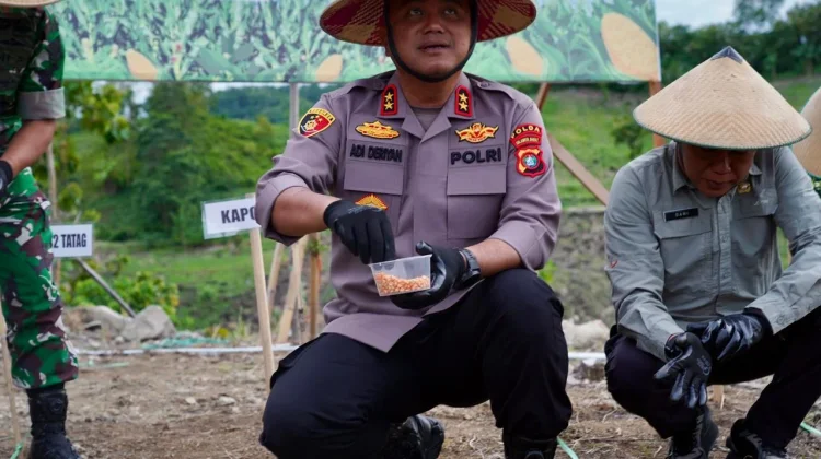 Polda Sulbar Gelar Aksi Tanam Jagung, Dukung Program Pemerintah Swasembada Pangan