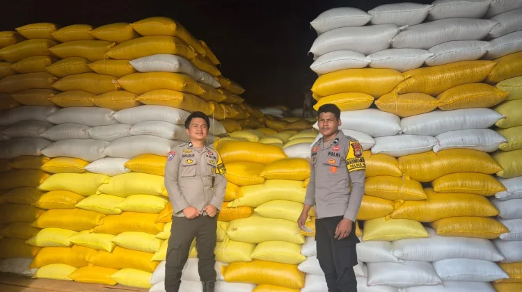 Polsek Pana Kawal Pengiriman 700 Kilogram Jagung Petani ke Bulog Polman