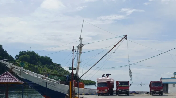 Operasi Patuh Karantina Awasi 5 Kabupaten di Sulbar - RRI.co.id