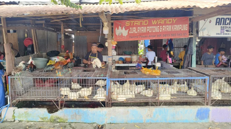 H-2 Lebaran, Harga Ayam Potong di Pasar Baru Mamuju Tembus 90 Ribu