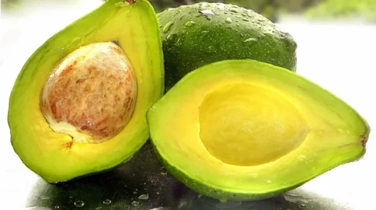 Tak Semua Orang Aman Makan Alpukat, Ini 4 Golongan yang Sebaiknya Menghindarinya