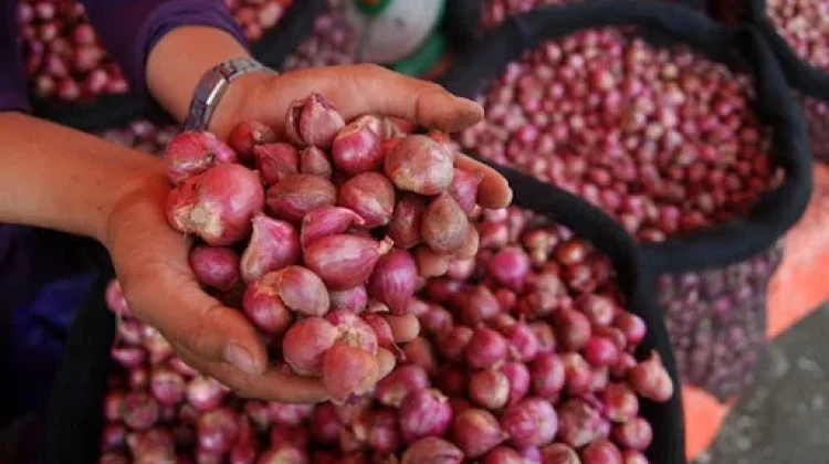 Bawang Merah Jadi Salah Satu Pemicu Inflasi di Sejumlah Daerah