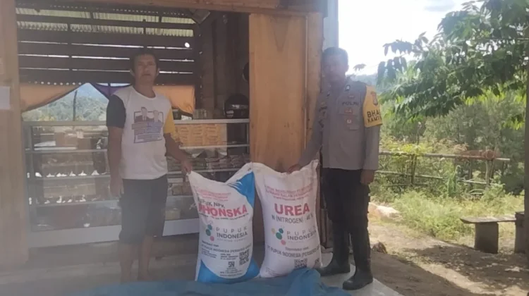 Polsek Sumarorong Salurkan Tambahan Pupuk untuk Petani Jagung