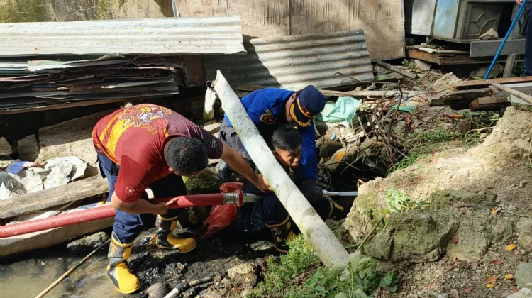 Ular Piton Mangsa Ternak di Pemukim,  Damkar Sulbar Lakukan Penyisiran