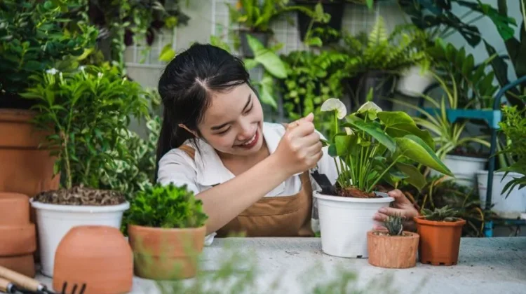Pilihan Hobi yang Bisa Dilakukan tanpa Mengganggu Waktu Kerja