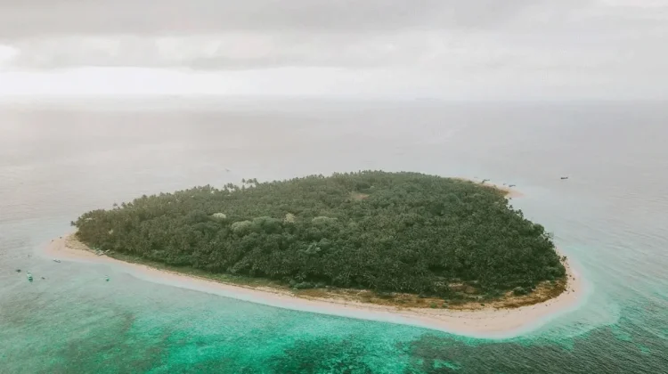 Terumbu Karang Pulau Saboyang Rusak Parah akibat Bom Ikan