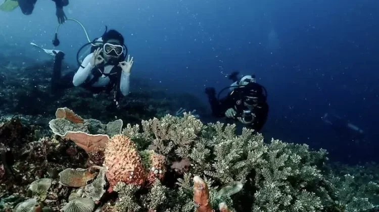 Warga Pulau Saboyang Lakukan Konservasi Mandiri Terumbu Karang