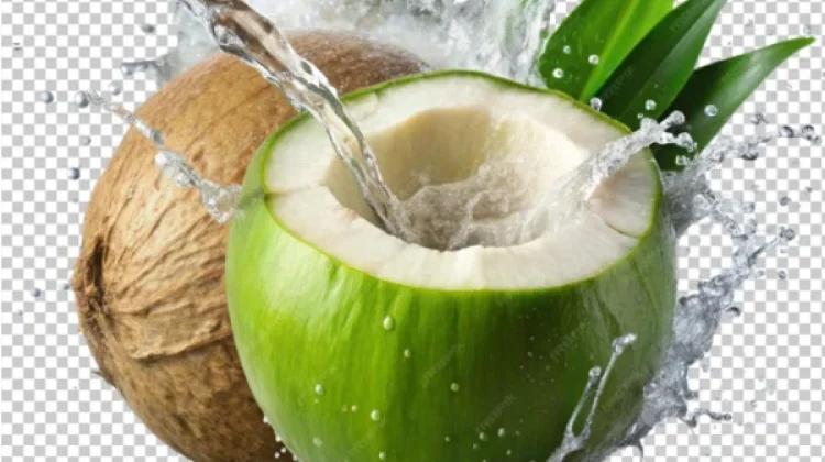 Perbedaan manfaat air Kelapa Tua dan Kelapa Muda yang Perlu Diketahui