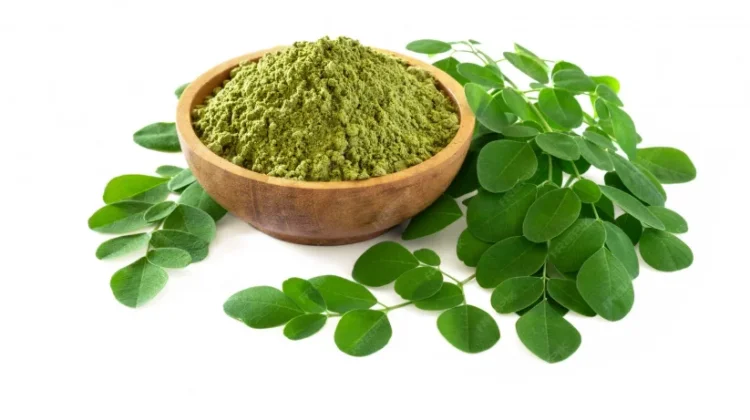 Daun Kelor sebagai Superfood Alami
