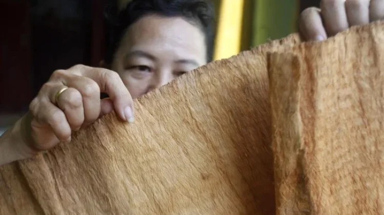 Kain Kulit Kayu Pasangkayu Diangkat Jadi Wastra Baru Sulbar