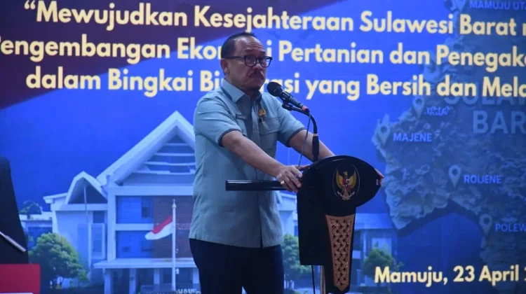 Gubernur Sulbar Sebut Kakao Punya Prospek Besar ke Depan