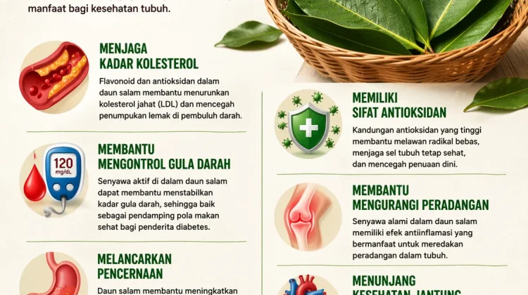Daun Salam: Manfaat Kecil dari Daun yang Sering Diremehkan