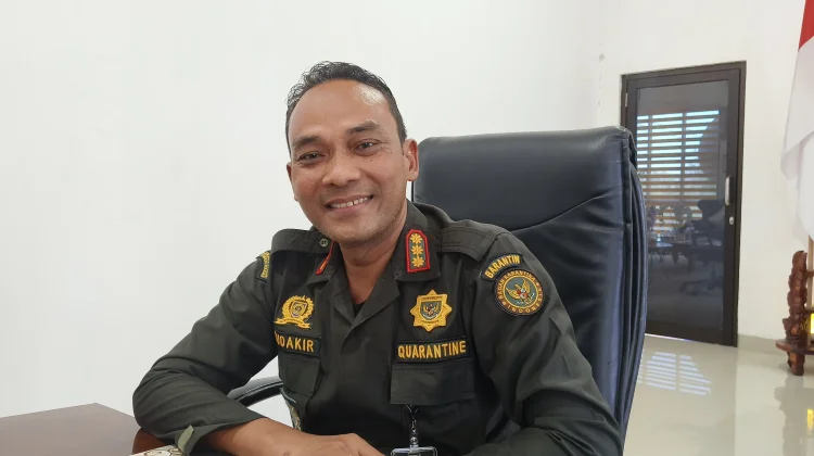 Jelang Idul Adha, 2.500 Sapi dan Kambing di Sulbar Keluar Melalui Pelabuhan