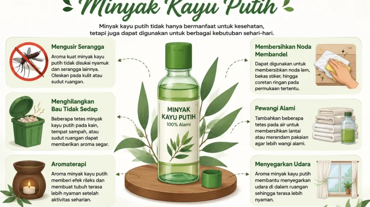 Selain untuk Kesehatan, Ini Kegunaan Lain Minyak Kayu Putih yang Jarang Diketahui