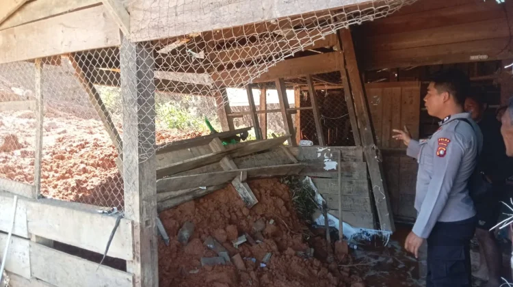 Hujan Deras Picu Longsor di Tabang Barat Mamasa, Satu Rumah Warga Alami Kerusakan