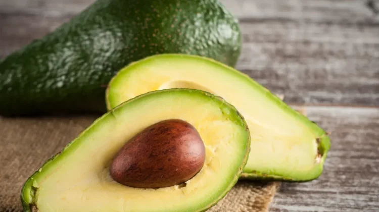 Alpukat, Buah Sehat Kaya Nutrisi untuk Tubuh