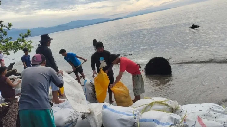 Pantai Mampie Terancam Hilang Digerus Abrasi