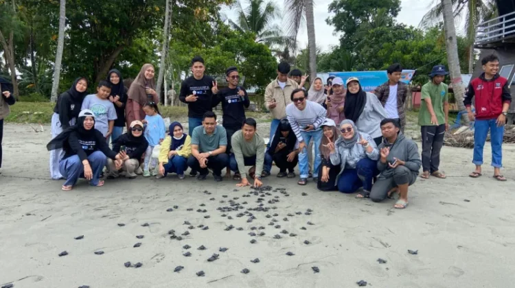 Penyu Jaga Ruang Laut, Kunci Stok Ikan dan Cegah Stunting