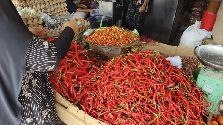Jelang Idul Adha, Harga Cabai di Pasar Baru Mamuju Melonjak