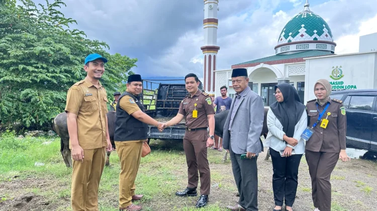Pemprov Sulbar Serahkan Sapi Kurban kepada Kejati