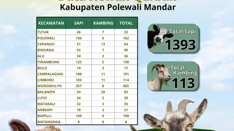 Polman Jadi Kabupaten dengan Hewan Kurban Terbanyak di Sulbar