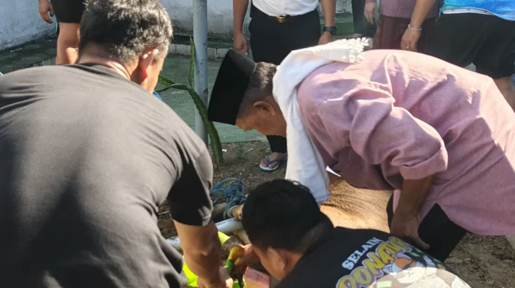 Rutan Mamuju Sembelih Hewan Qurban Sumbangan Gubernur Sulbar, Wujud Kepedulian & ke