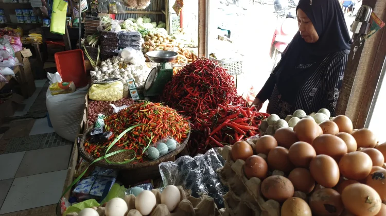 Pasca Hari Raya Idul Adha, Harga Cabai di Mamuju Mulai Menurun