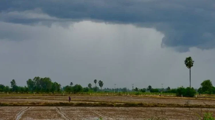 Pertanian Masih Jadi Penopang Utama Ekonomi Sulbar