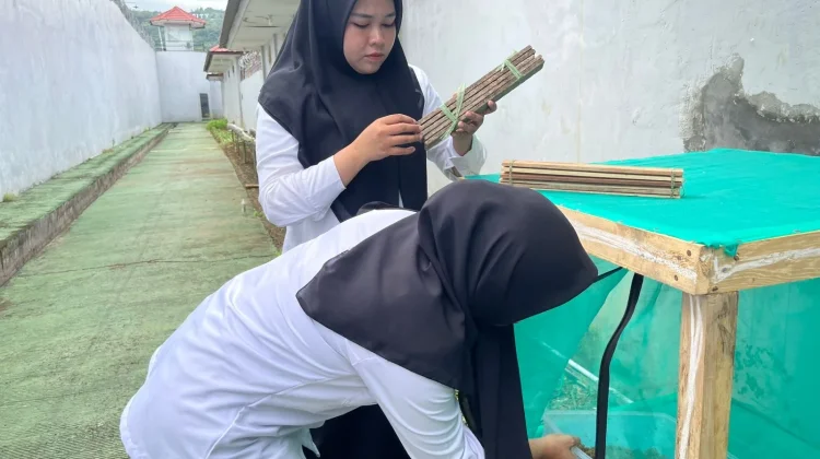 Rutan Mamuju Ubah Limbah Organik Melalui Budidaya Maggot BSF