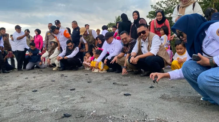 Festival Penyu Mampie Resmi Dibuka, Pemprov Sulbar Tekankan Sustainable Tourism