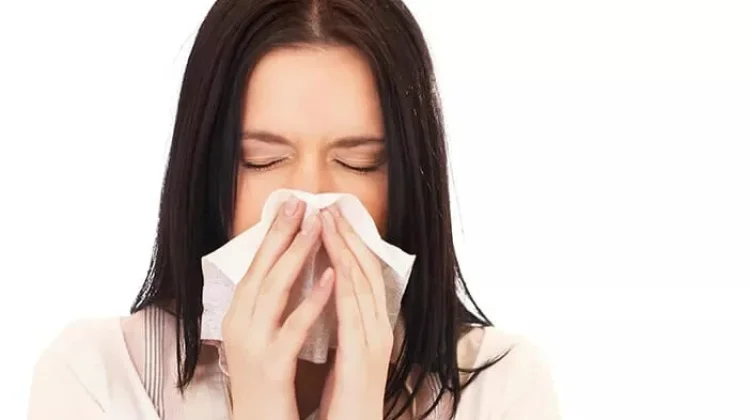 Flu: Kenali Gejala, Penyebab, dan Cara Mengatasinya