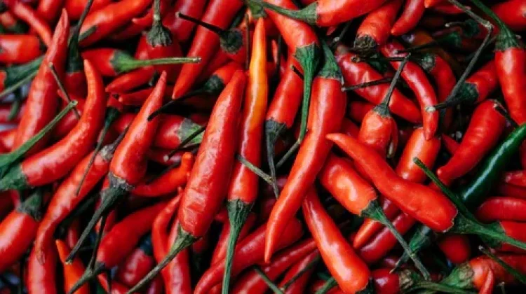 Benarkah Makanan Pedas Bisa Bermanfaat untuk Kesehatan?