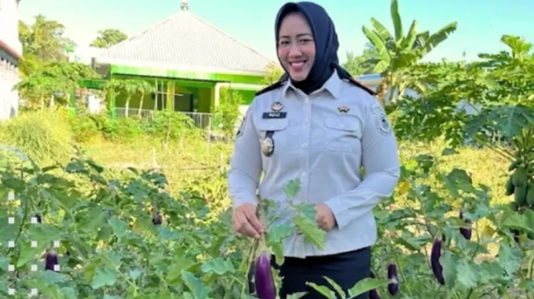 Lapas Perempuan Mamuju Panen Sayuran, Bekali Kemandirian Warga Binaan Produktif