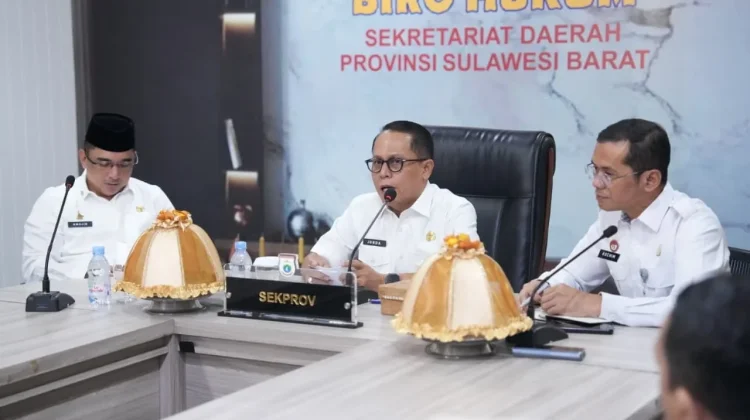 Pemprov Sulbar Susun Ranpergub Pastipadu, Atasi Stunting hingga Pernikahan Anak