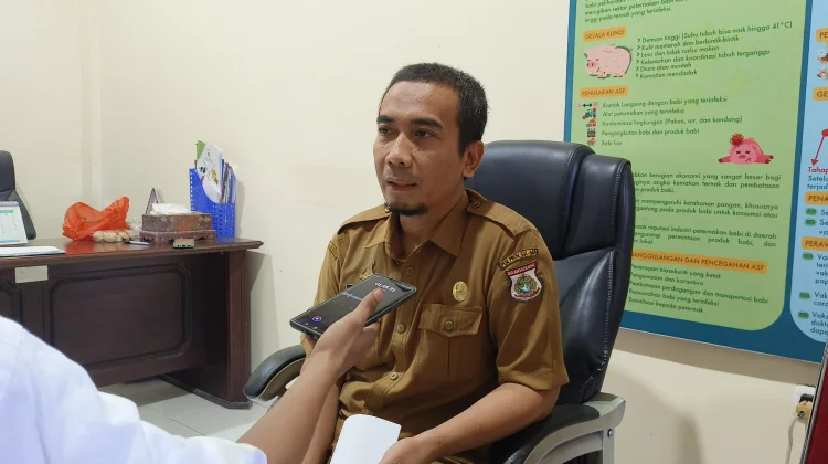 Warga Dihimbau Tak Konsumsi Babi Terduga Terjangkit Demam Babi Afrika